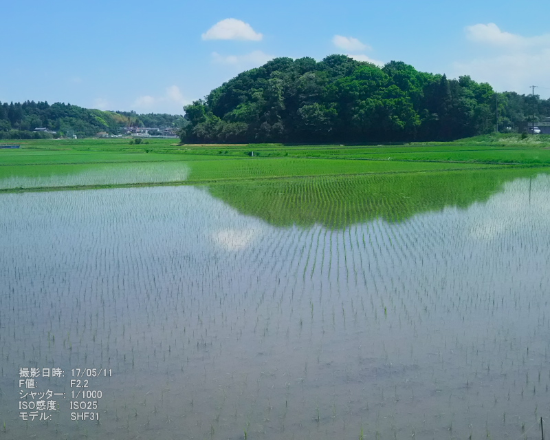 植物の好奇心 - 植物は音楽を好みます